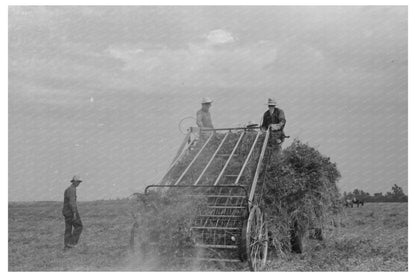 Hay Loading Machine in Operation Arkansas September 1938 - Available at KNOWOL