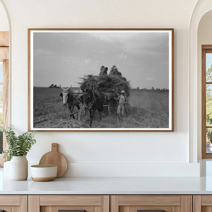 Hay Loading Machine Operation Arkansas September 1938 - Available at KNOWOL