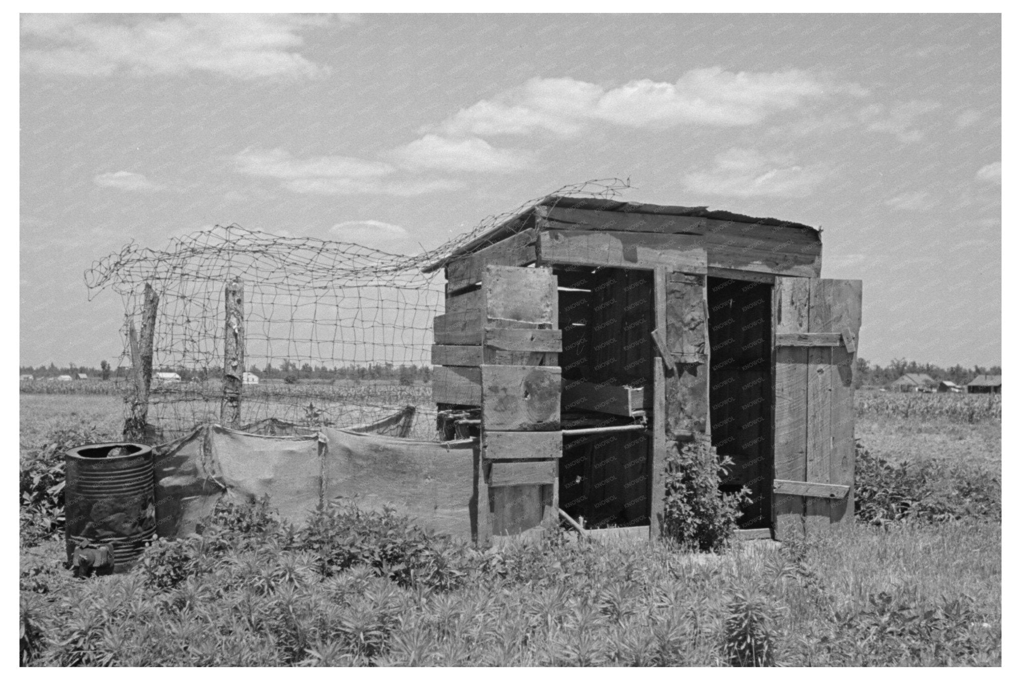 Henhouse and Privy in Southeast Missouri May 1938 - Available at KNOWOL