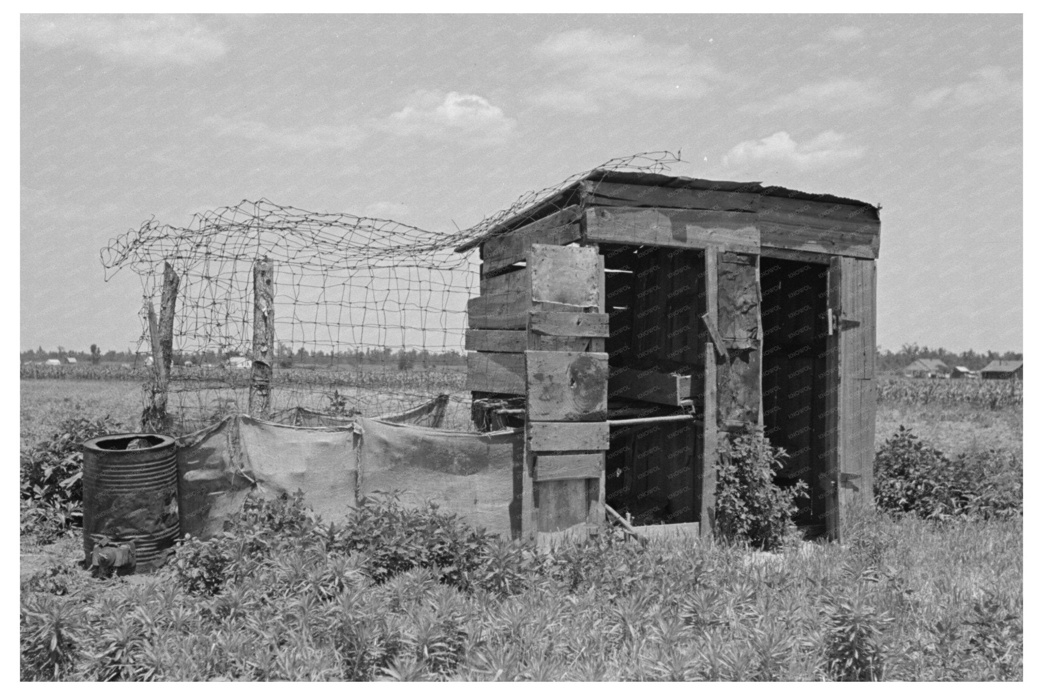 Henhouse and Privy on Southeast Missouri Farm 1938 - Available at KNOWOL