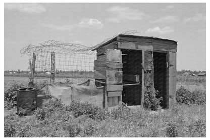 Henhouse and Privy on Southeast Missouri Farm 1938 - Available at KNOWOL