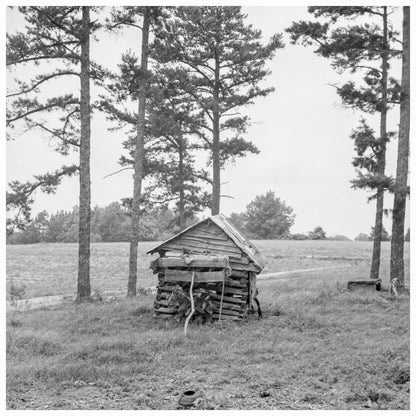 Henhouse on Tobacco Farm Person County North Carolina 1939 - Available at KNOWOL