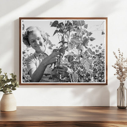 High School Girl Bean Picking Marion County Oregon 1939 - Available at KNOWOL