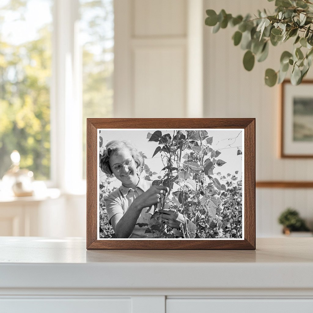 High School Girl Bean Picking Marion County Oregon 1939 - Available at KNOWOL