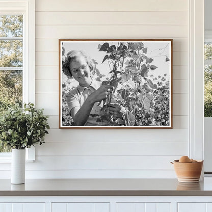 High School Girl Bean Picking Marion County Oregon 1939 - Available at KNOWOL