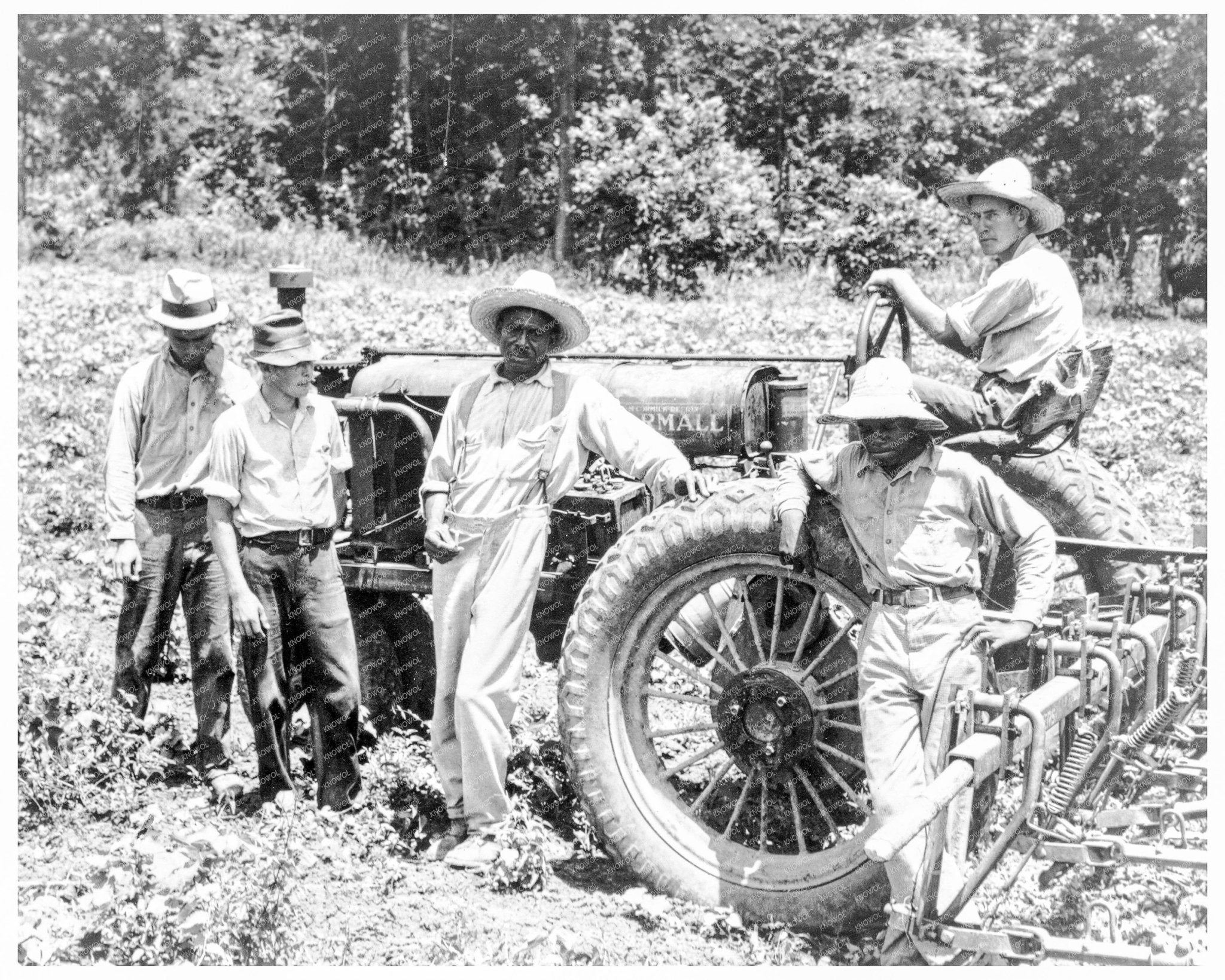 Hillhouse Cooperative Farm Mississippi Delta 1937 Image - Available at KNOWOL