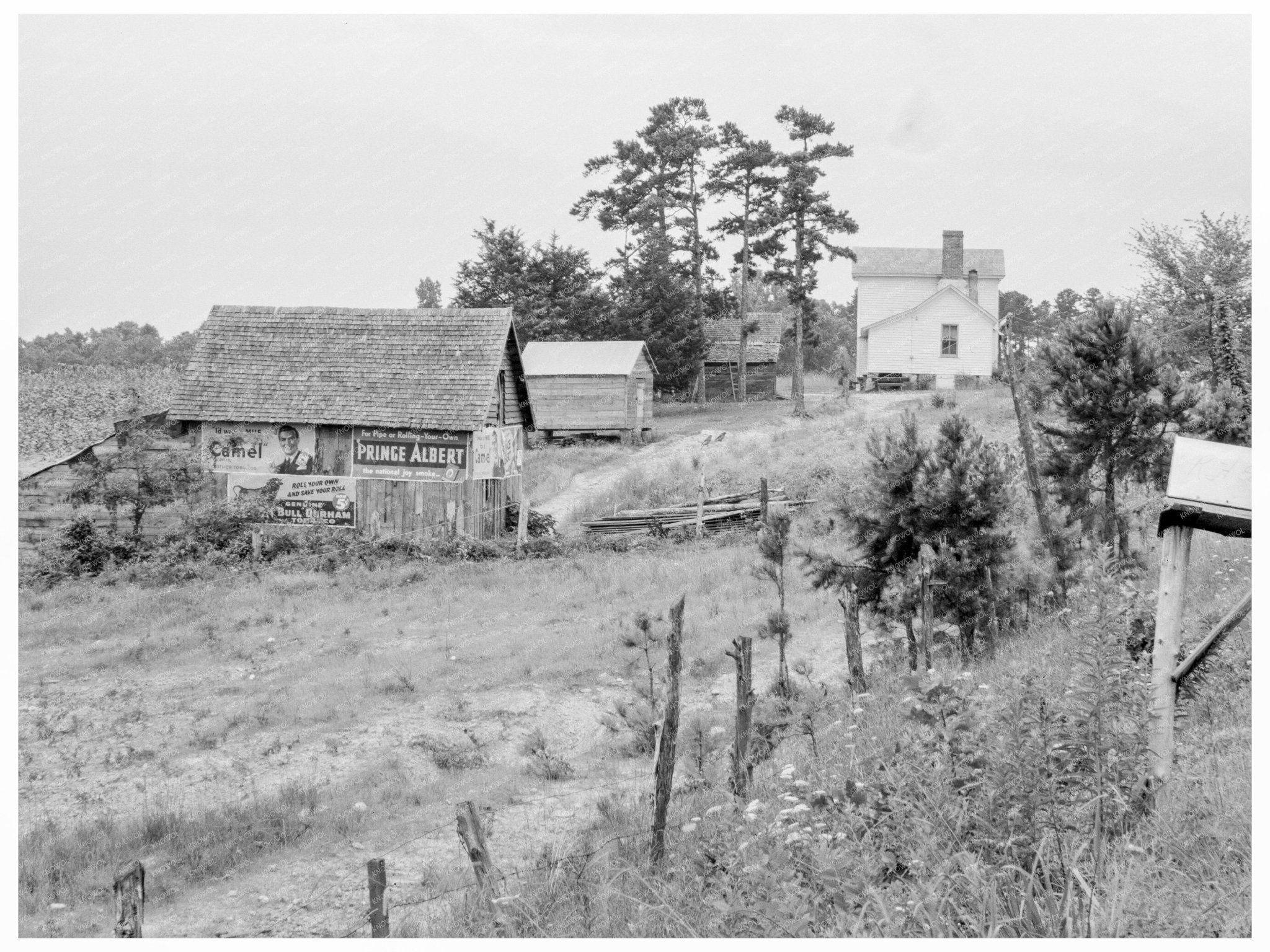 Hillside Farm in Person County North Carolina July 1939 - Available at KNOWOL