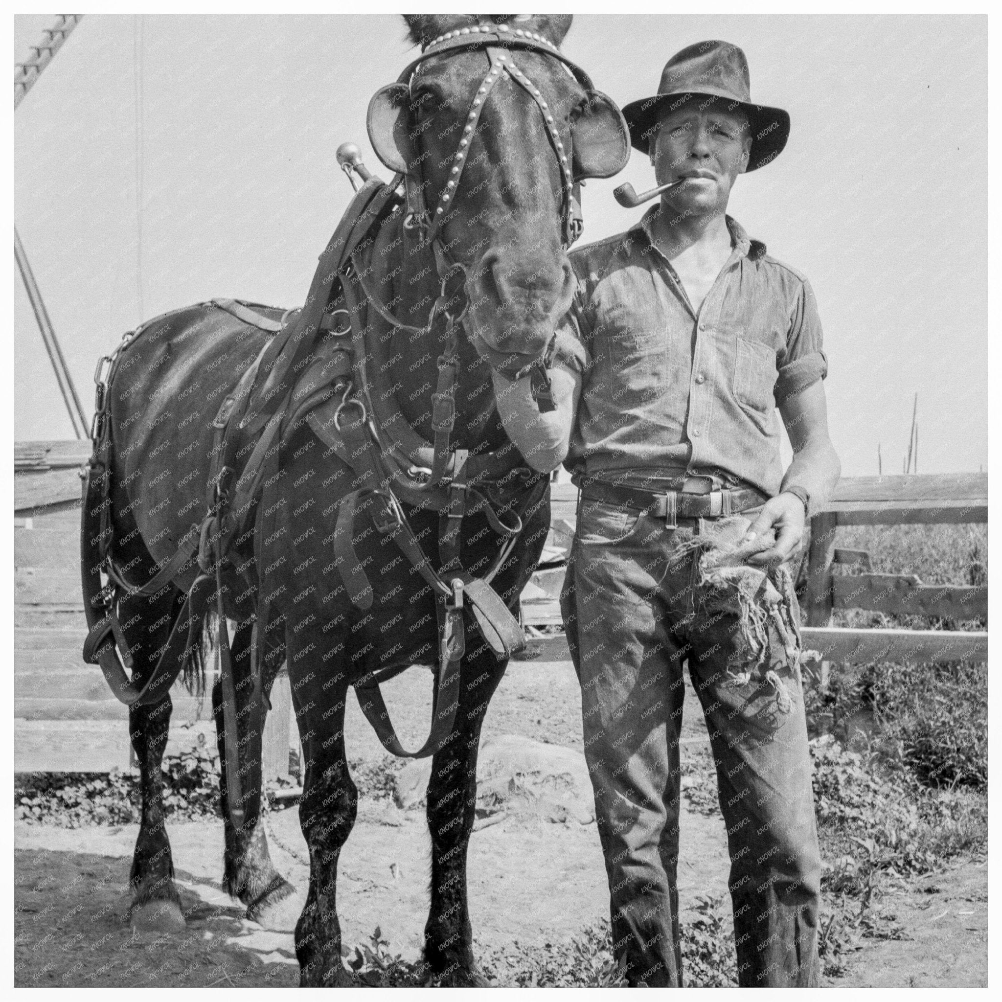 Hired Man on Myers Farm Yakima County August 1939 - Available at KNOWOL