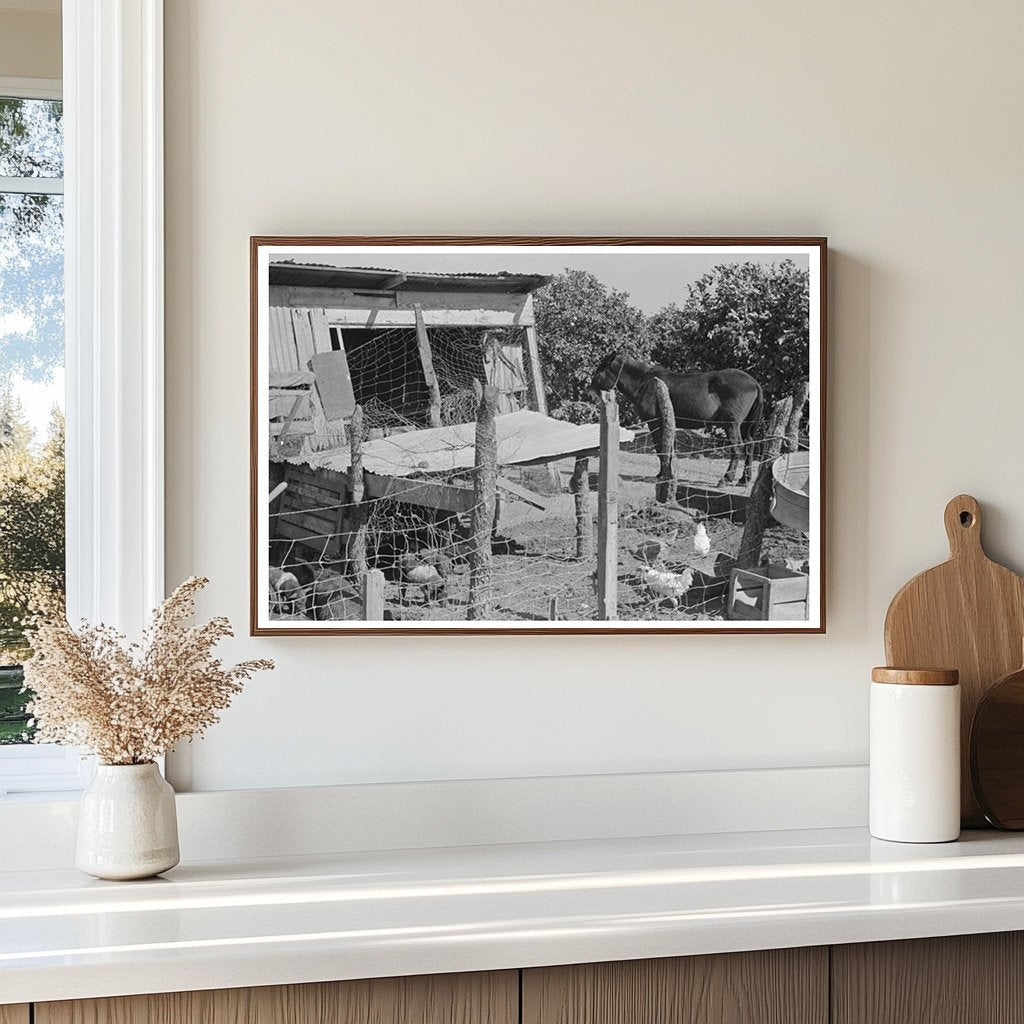 Hog House and Chicken Coop in Hidalgo County Texas 1939 - Available at KNOWOL