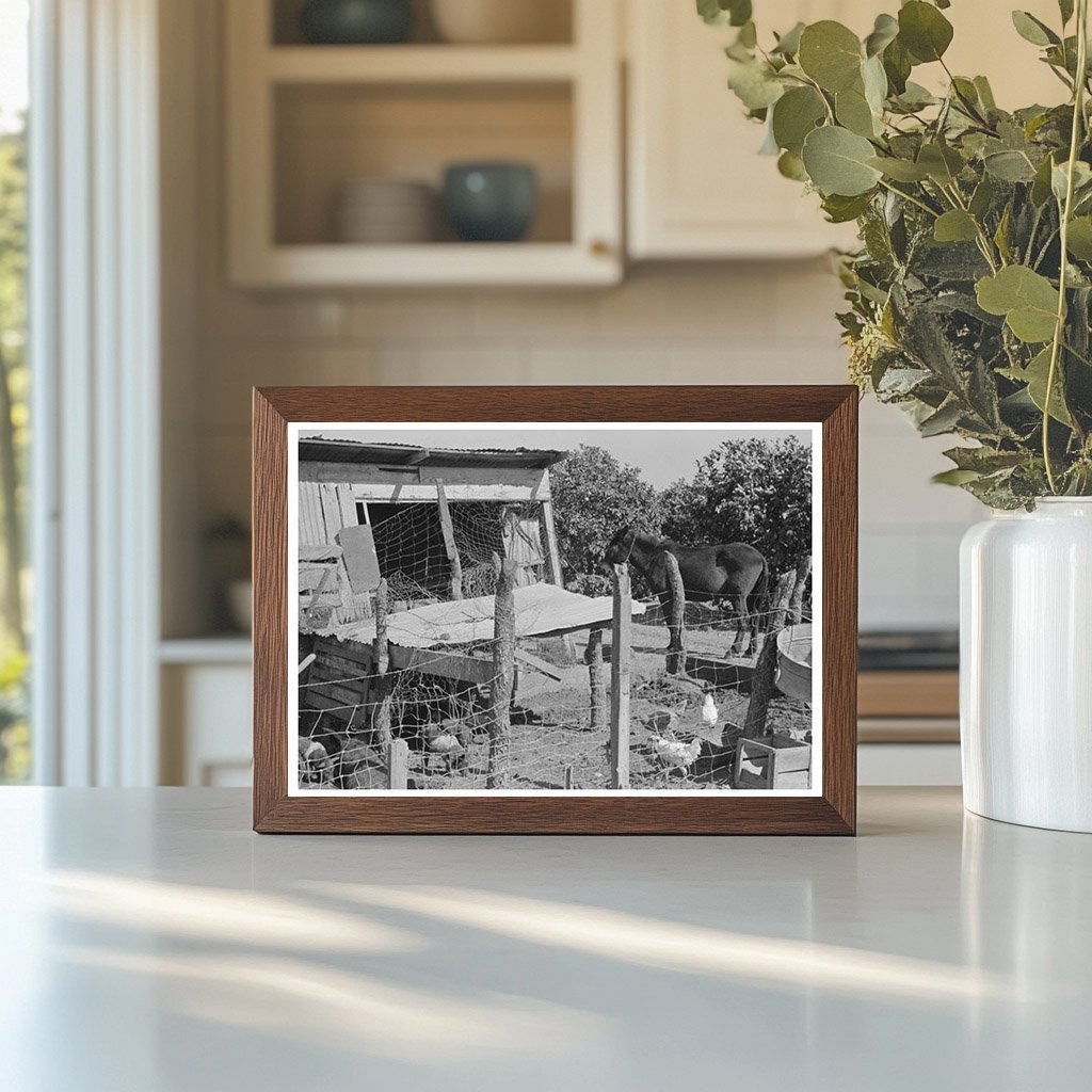 Hog House and Chicken Coop in Hidalgo County Texas 1939 - Available at KNOWOL