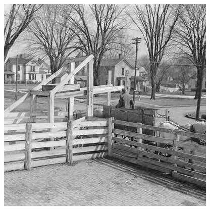 Hogs Unloaded at Aledo Stockyards Mercer County 1937 - Available at KNOWOL