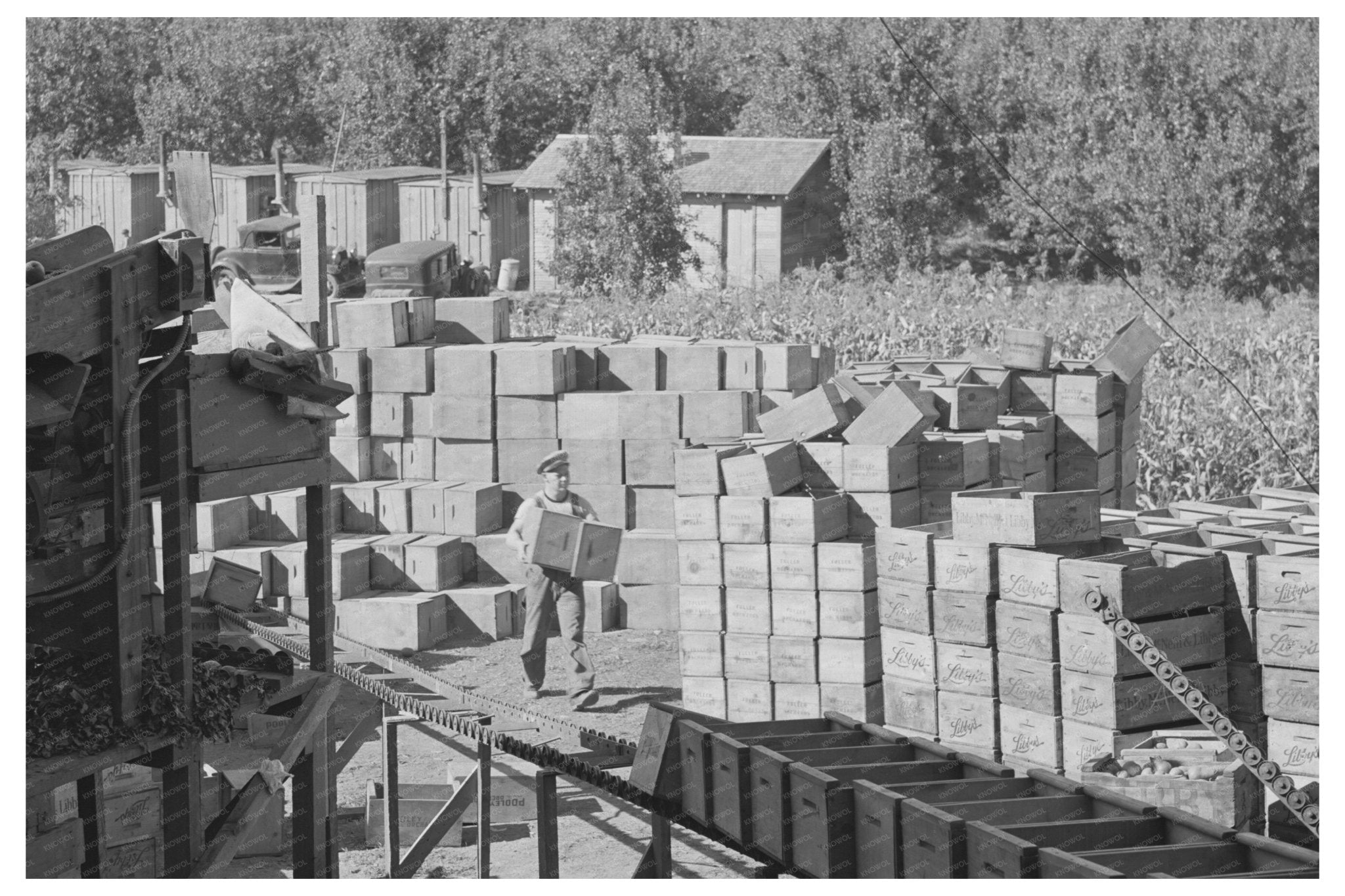 Hood River Pear Packing Crates September 1941 - Available at KNOWOL