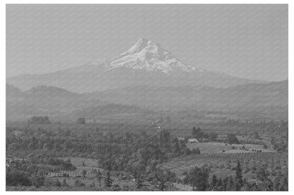 Hood River Valley Orchards with Mount Hood 1941 - Available at KNOWOL