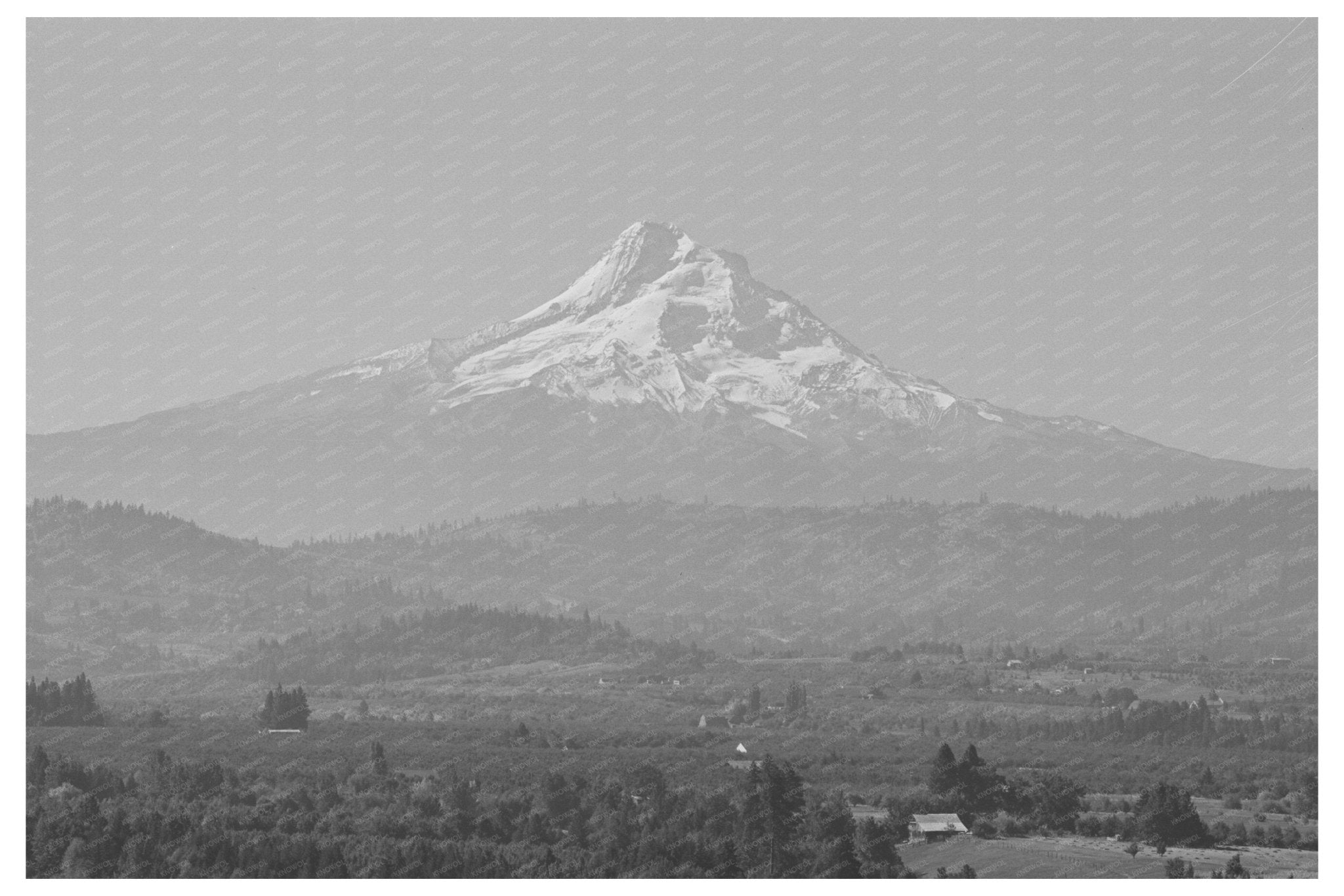 Hood River Valley Orchards with Mount Hood September 1941 - Available at KNOWOL