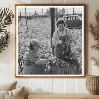 Hop Pickers in Yakima County Washington September 1941 - Available at KNOWOL