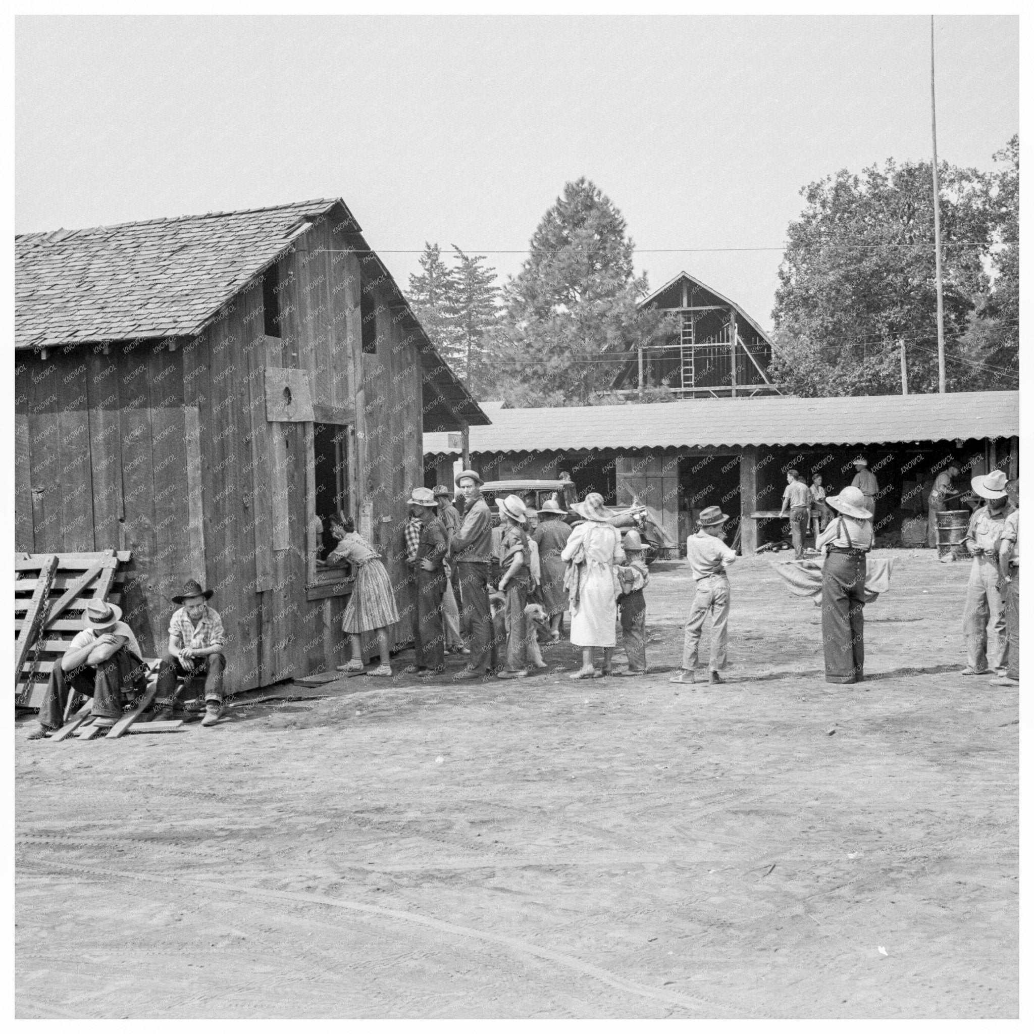 Hop Pickers Receiving Wages Grants Pass Oregon 1939 - Available at KNOWOL