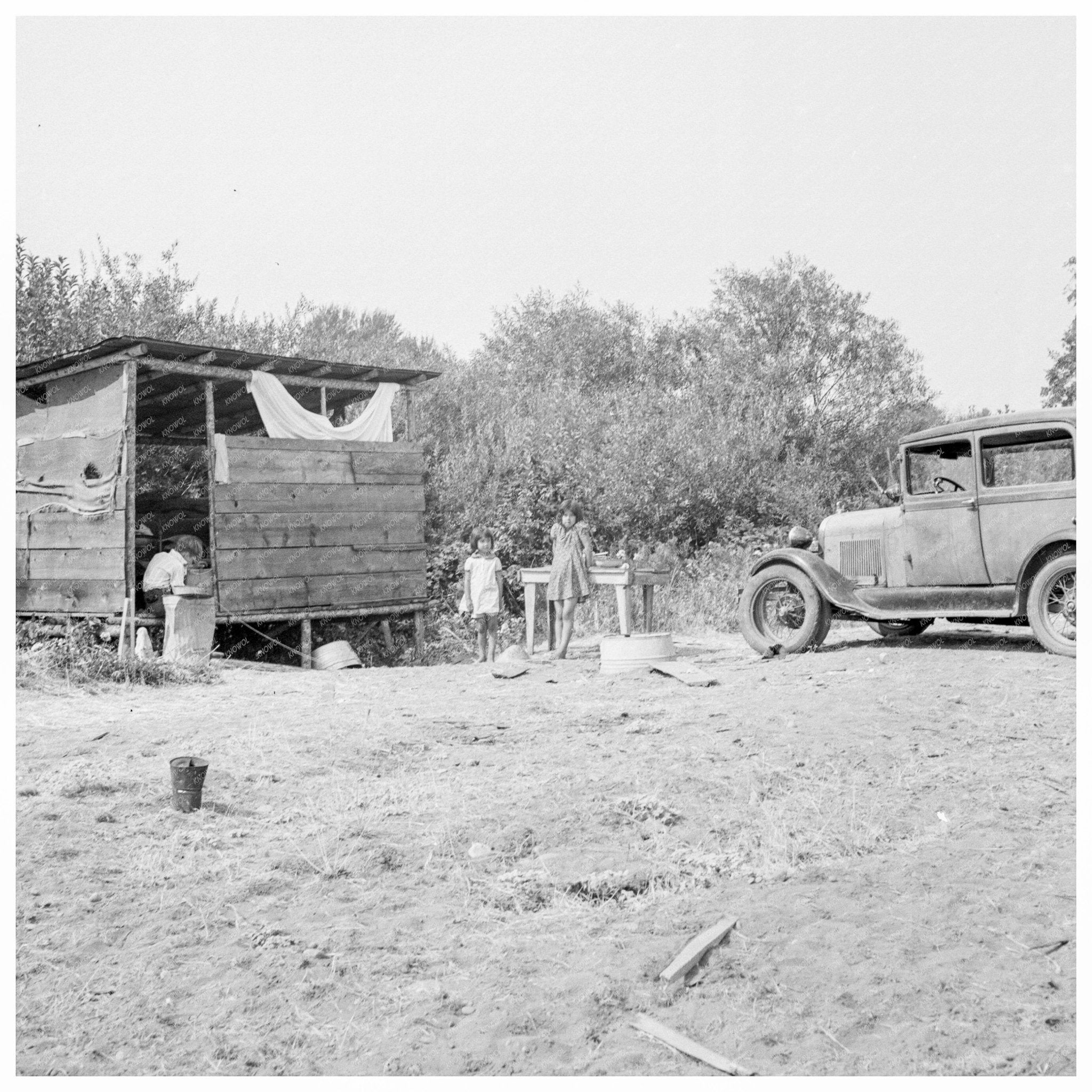 Hop Pickers Shacks Josephine County Oregon August 1939 - Available at KNOWOL