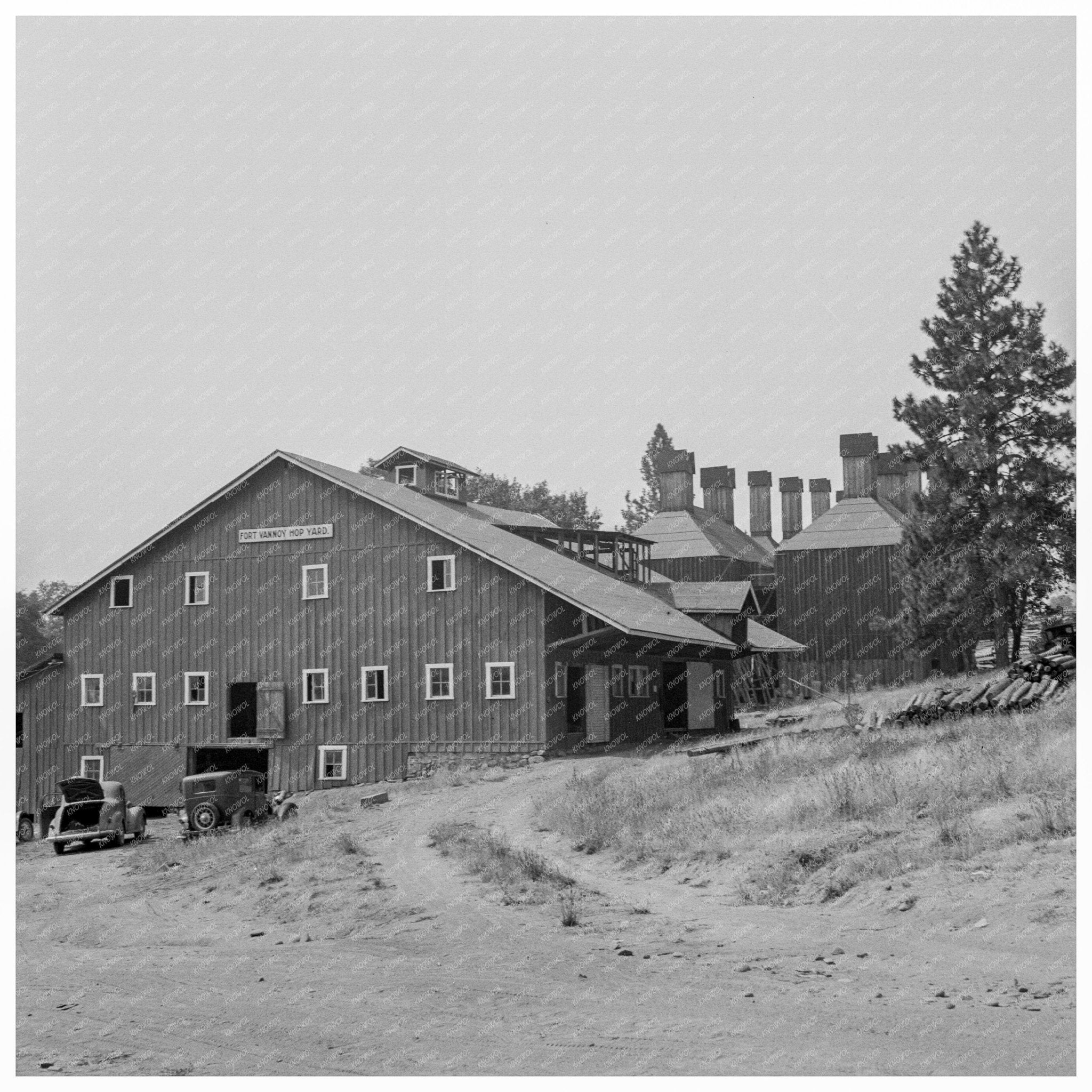 Hop Shed in Josephine County Oregon 1939 - Available at KNOWOL