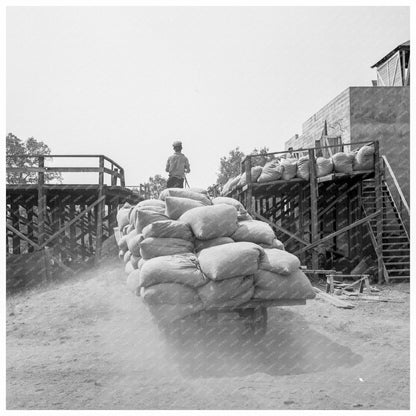 Hops Transportation in Grants Pass Oregon August 1939 - Available at KNOWOL