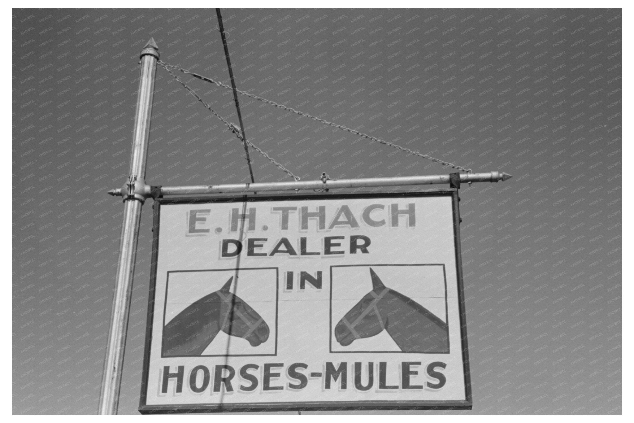 Horse and Mule Dealer Sign Eudora Arkansas 1939 - Available at KNOWOL