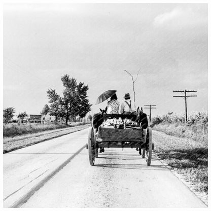 Horse and Wagon Transportation in Southeast Missouri 1938 - Available at KNOWOL