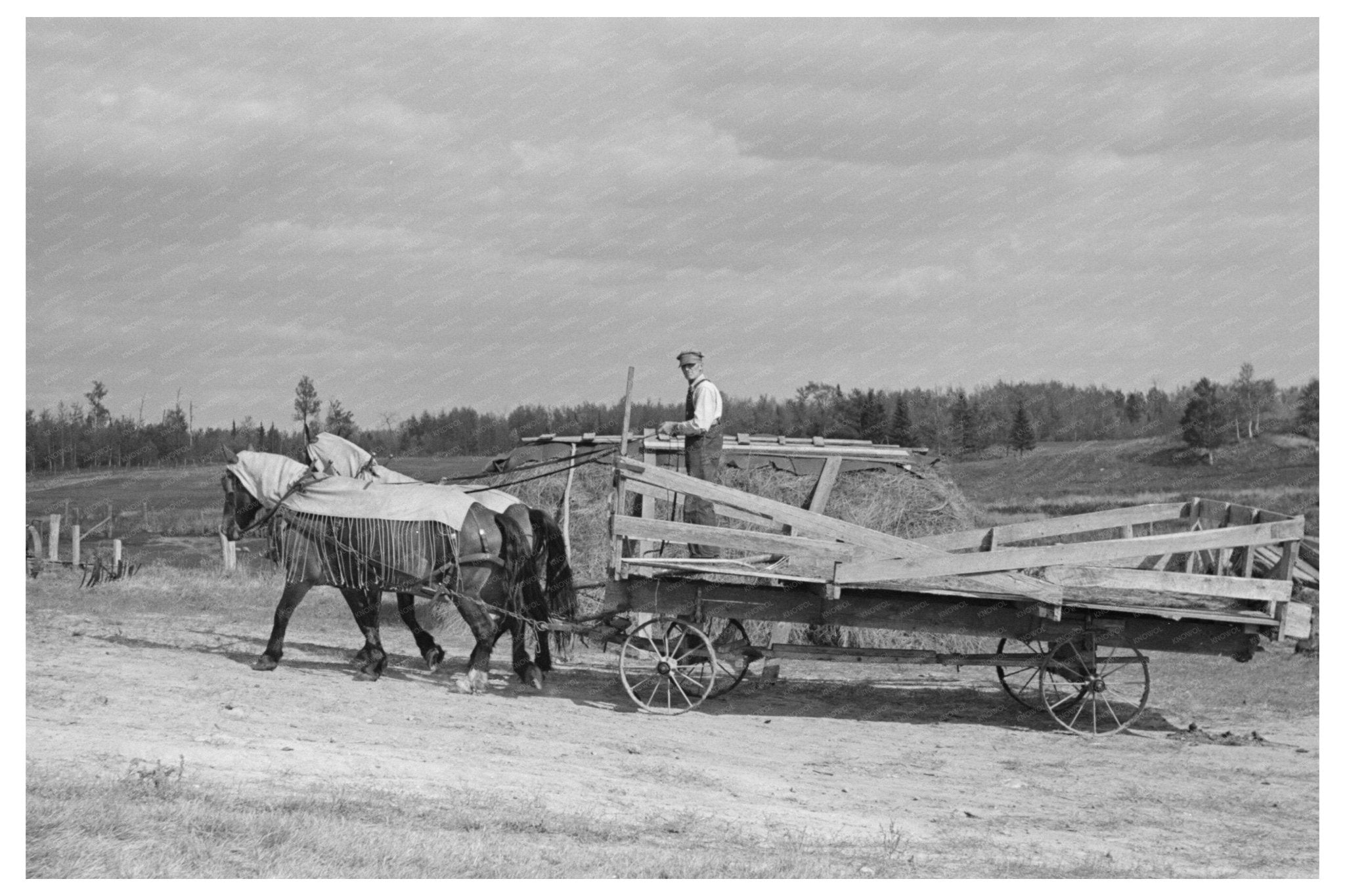 Horses and Hay Wagon on Minnesota Farm 1937 - Available at KNOWOL