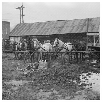 Horses at Hitching Posts Joy Illinois 1937 - Available at KNOWOL