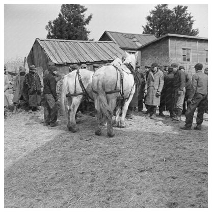 Horses Auctioned at Frank Sheroans Sale Montmorenci 1937 - Available at KNOWOL