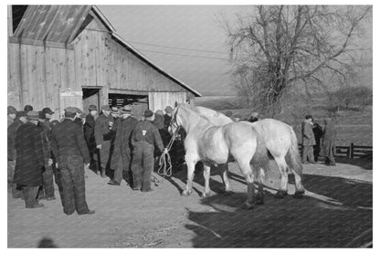 Horses for Sale at Aledo Auction Illinois November 1936 - Available at KNOWOL