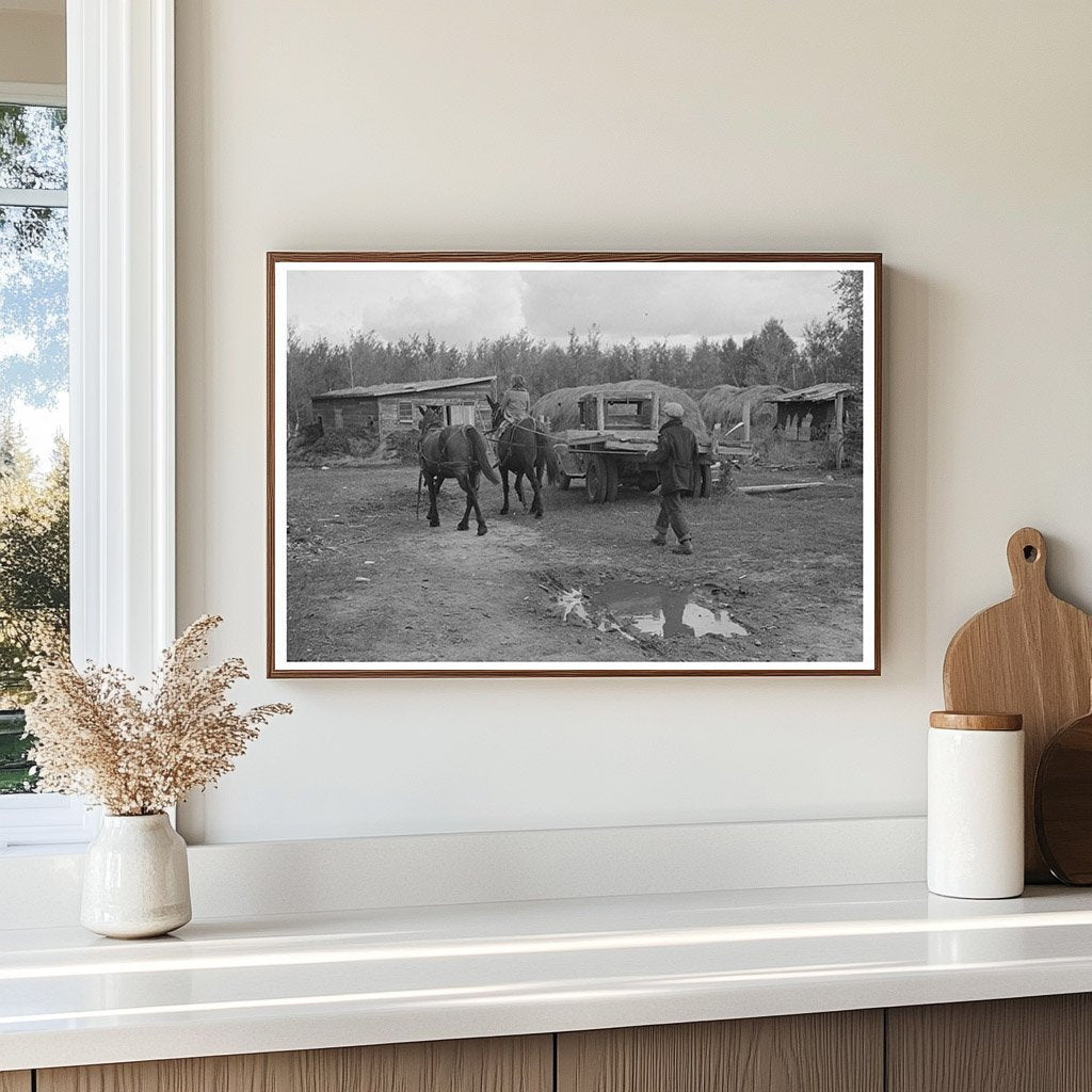 Horses Led to Barn in Rural Minnesota September 1937 - Available at KNOWOL