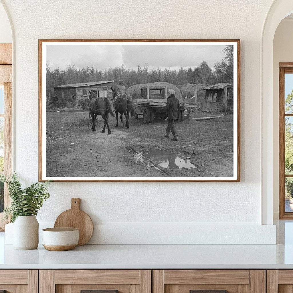 Horses Led to Barn in Rural Minnesota September 1937 - Available at KNOWOL