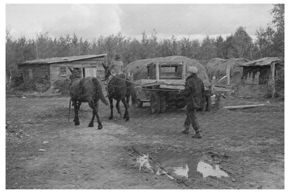 Horses Led to Barn in Rural Minnesota September 1937 - Available at KNOWOL