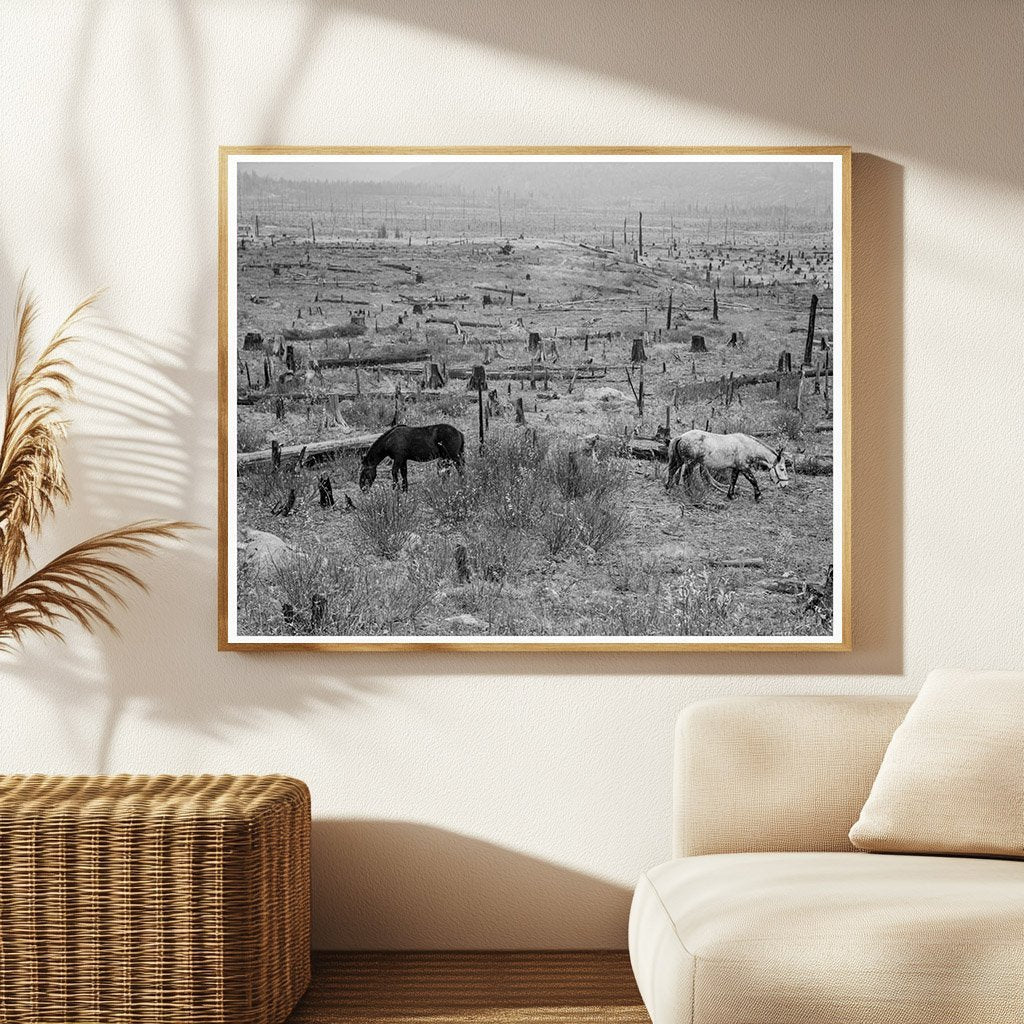 Horses Pasturing in Priest River Valley Idaho 1939 - Available at KNOWOL