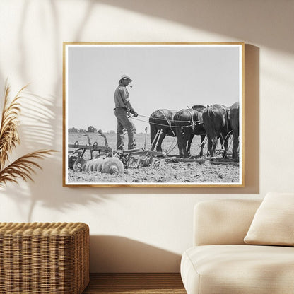 Horses Plowing Cornfields in Tulare County 1937 - Available at KNOWOL