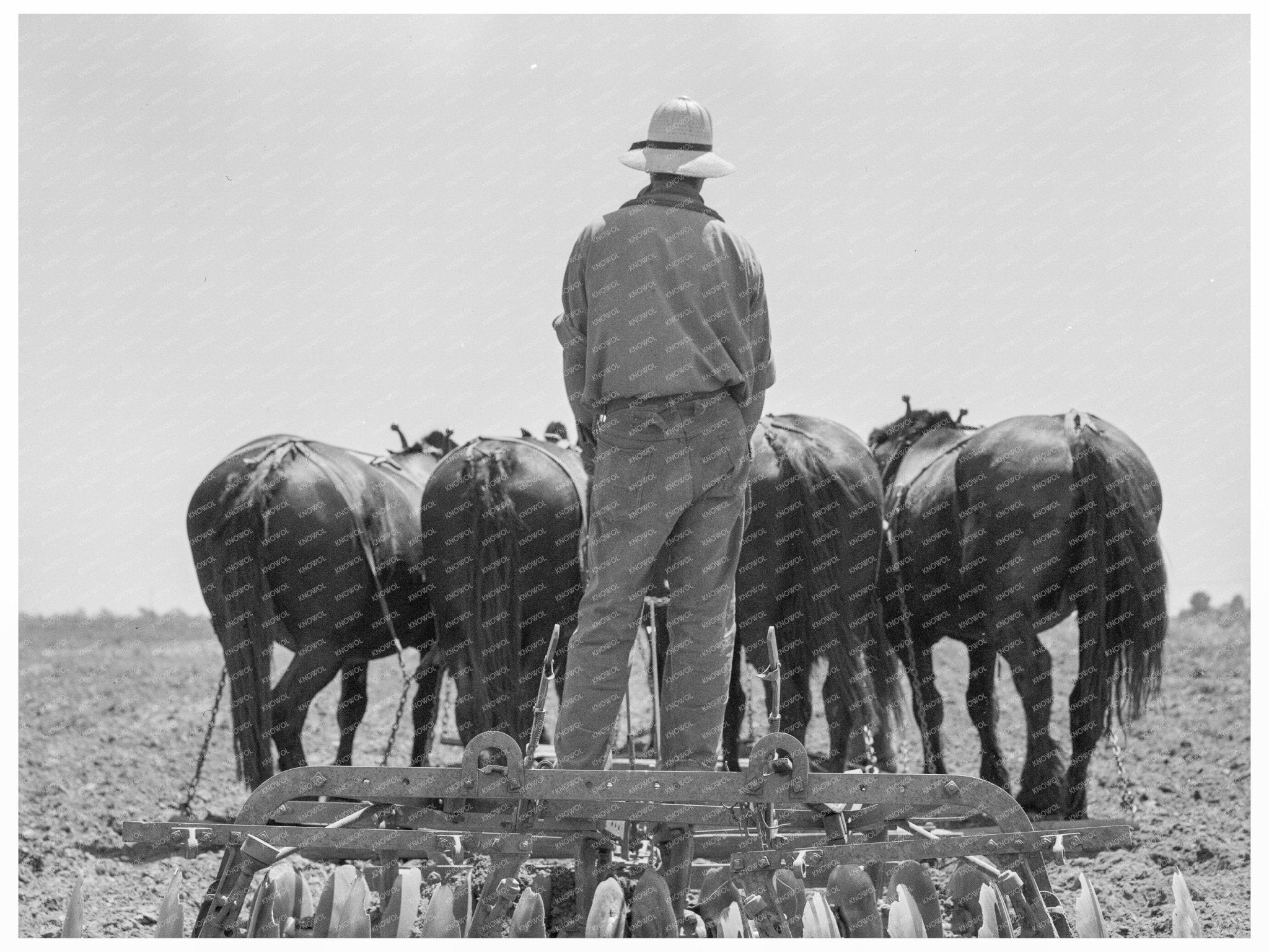 Horses Pulling Disc Harrow in Tulare County 1937 - Available at KNOWOL