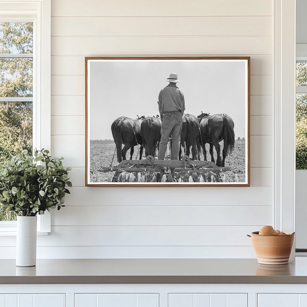 Horses Pulling Disc Harrow in Tulare County 1937 - Available at KNOWOL