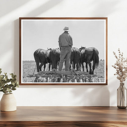 Horses Pulling Disc Harrow in Tulare County 1937 - Available at KNOWOL