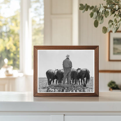 Horses Pulling Disc Harrow in Tulare County 1937 - Available at KNOWOL