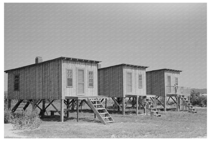 Houses in Caruthersville Missouri August 1938 - Available at KNOWOL