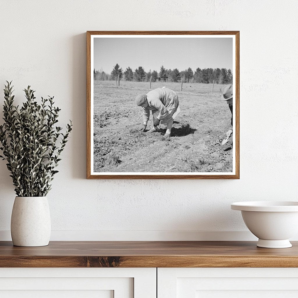 Husband and Wife Weeding Strawberries in 1937 Michigan - Available at KNOWOL