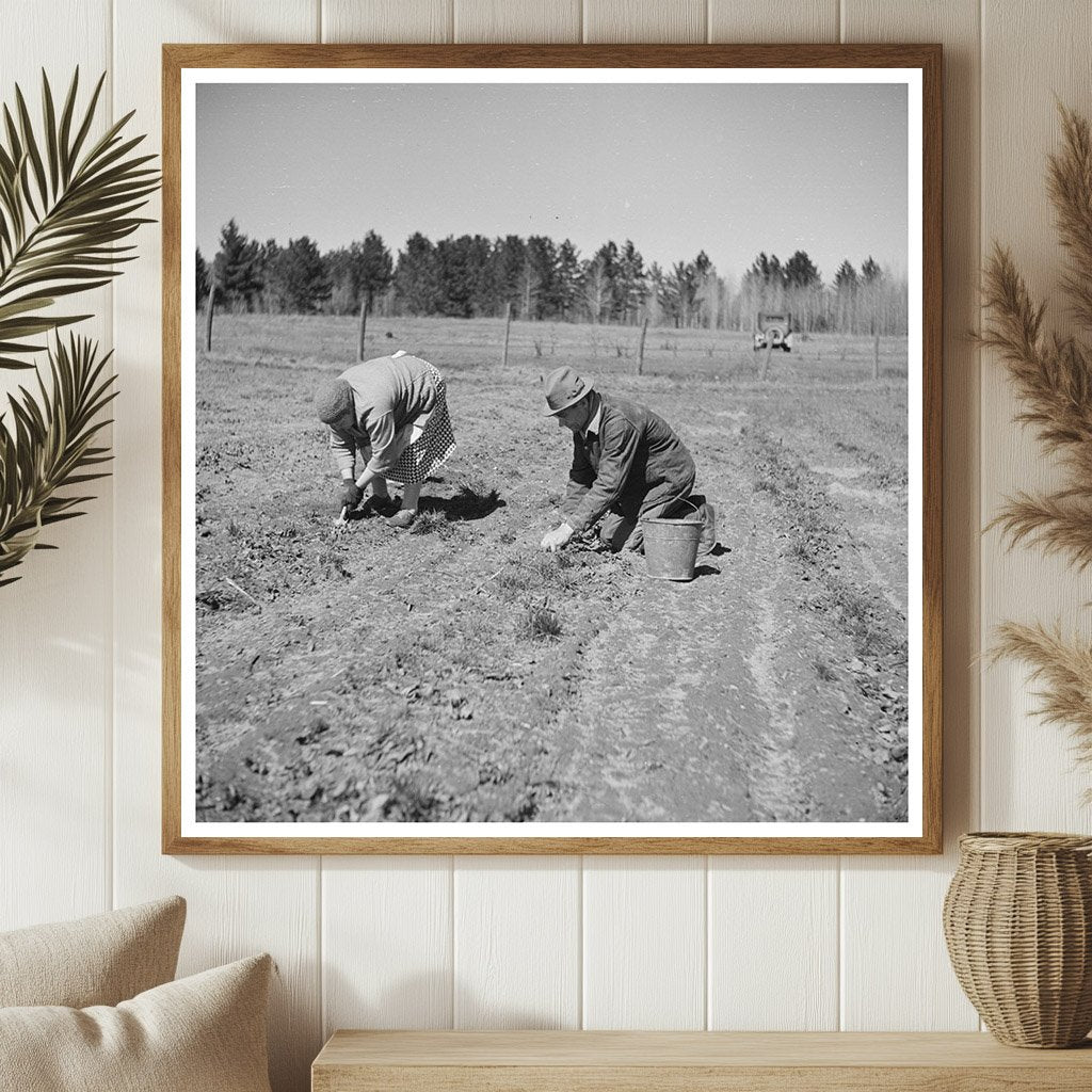 Husband and Wife Weeding Strawberries May 1937 - Available at KNOWOL