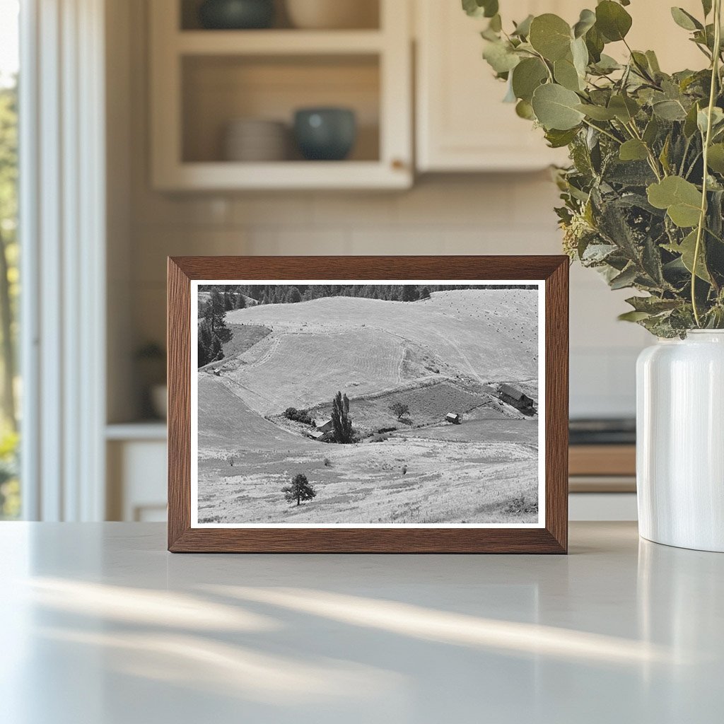 Idaho County Farmstead Vintage Image July 1941 - Available at KNOWOL