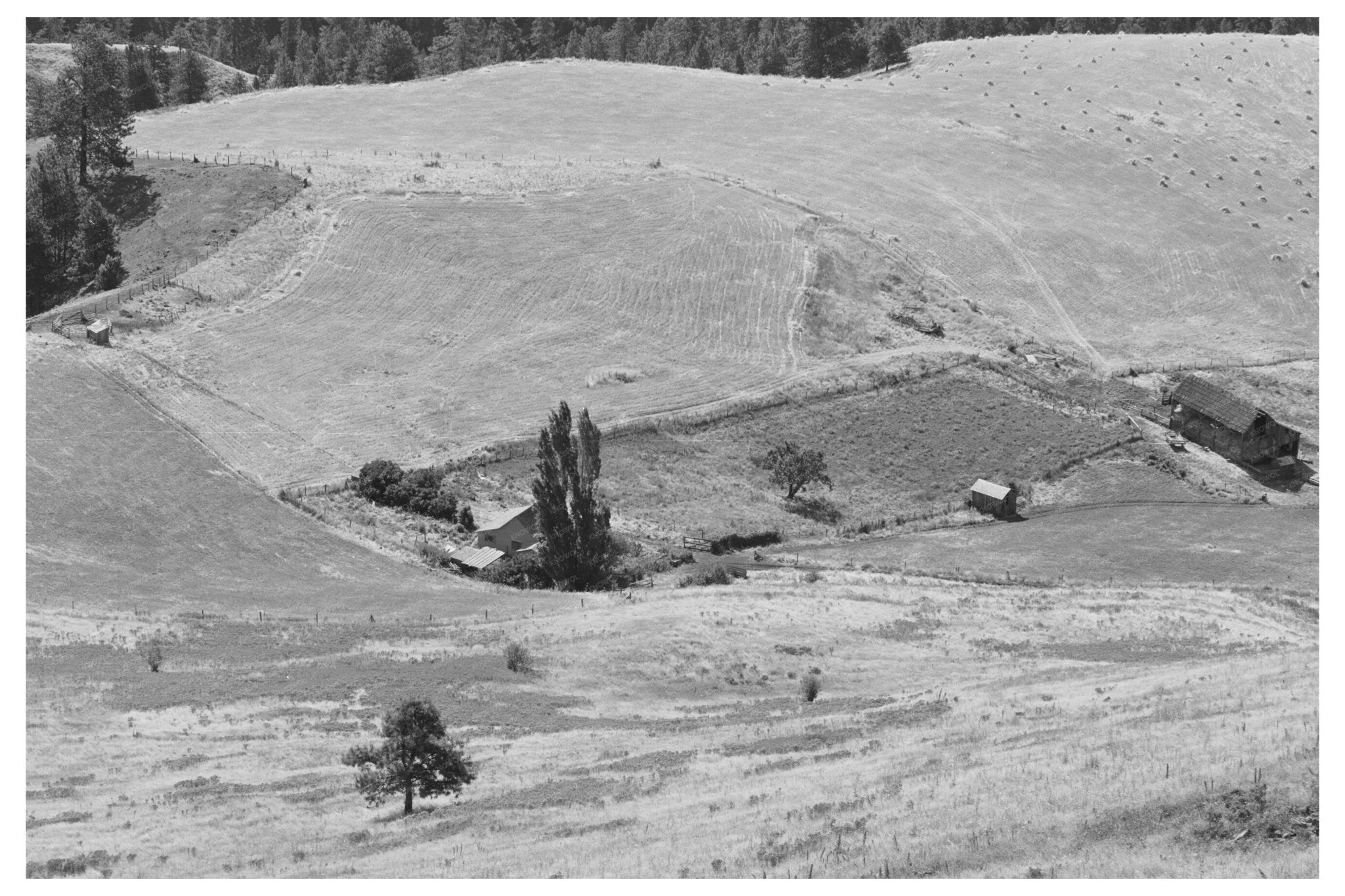 Idaho County Farmstead Vintage Image July 1941 - Available at KNOWOL