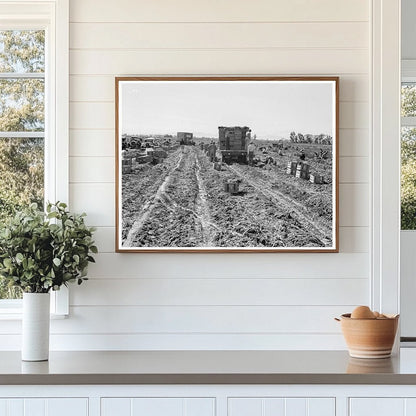 Imperial Valley Agriculture Workers February 1939 - Available at KNOWOL