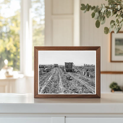 Imperial Valley Agriculture Workers February 1939 - Available at KNOWOL