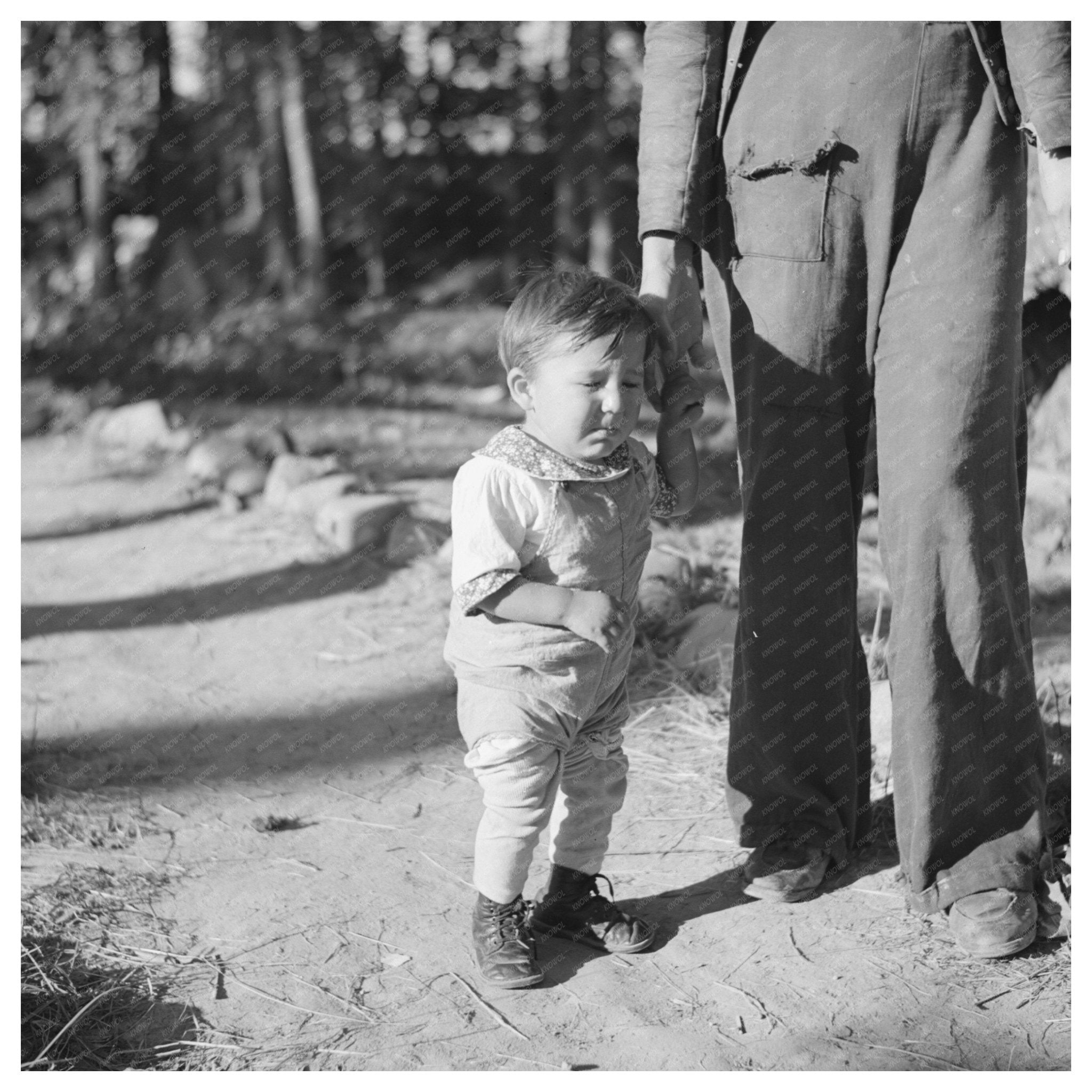 Indigenous Infant of Blueberry Picker in Minnesota 1937 - Available at KNOWOL