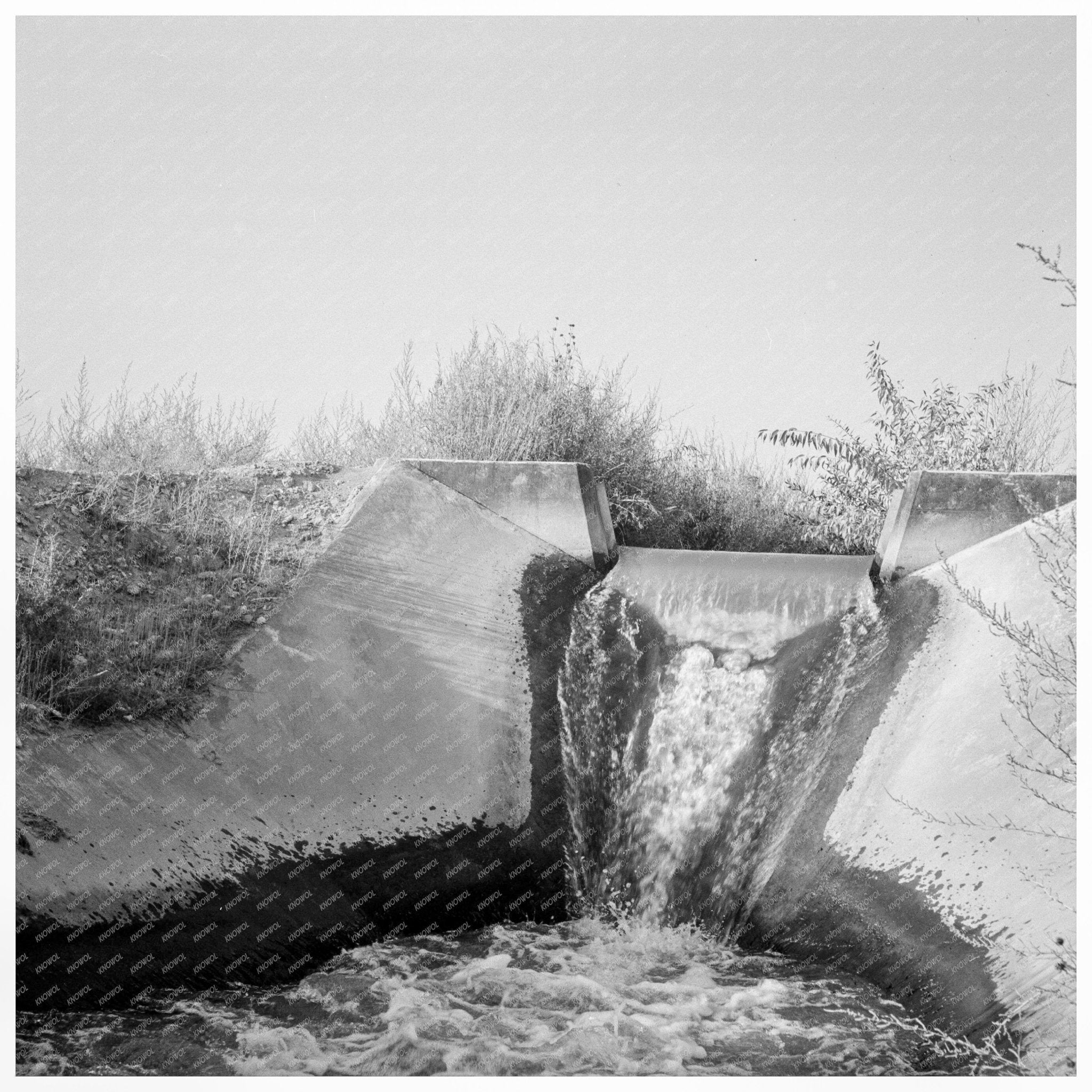 Irrigation Canal Near Nyssa Oregon October 1939 - Available at KNOWOL