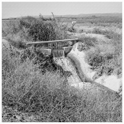 Irrigation Ditch in Dead Ox Flat Oregon 1939 - Available at KNOWOL