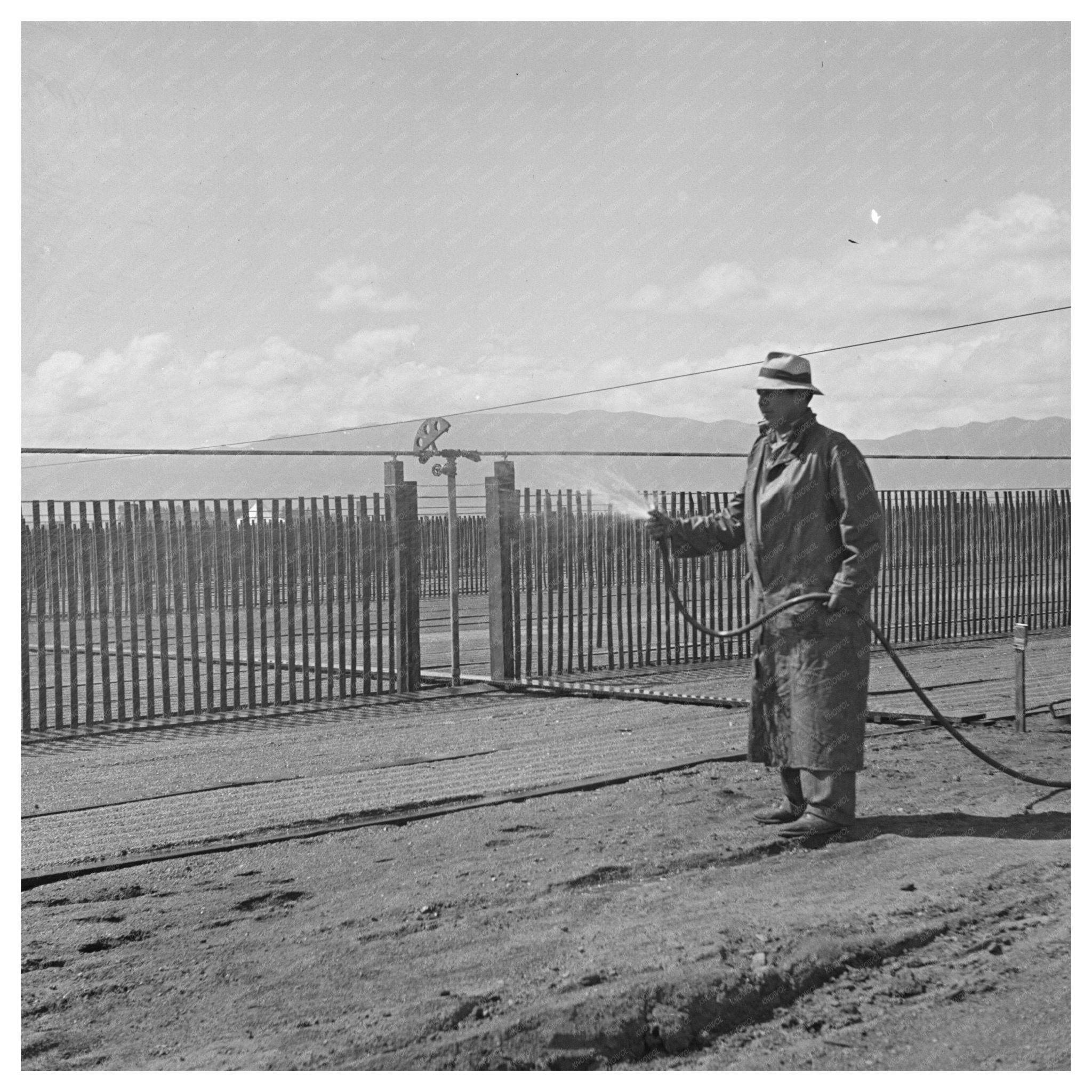 Irrigator at Guayule Nursery Salinas California 1942 - Available at KNOWOL