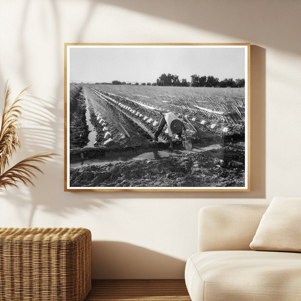 Irrigator in Cantaloupe Field Imperial Valley 1937 - Available at KNOWOL